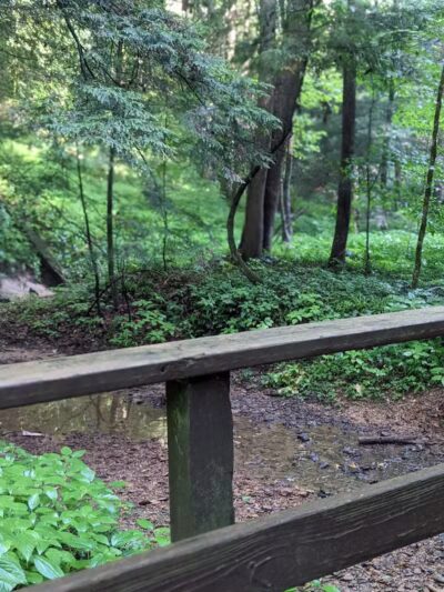 Ash Cave Main Parking Area - Creola, OH