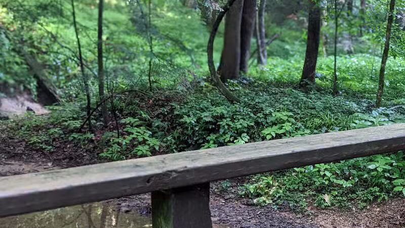 Ash Cave Main Parking Area - Creola, OH