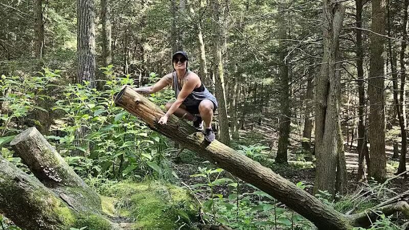 Ash Cave Main Parking Area - Creola, OH