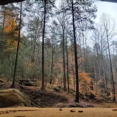 Ash Cave Main Parking Area - Creola, OH