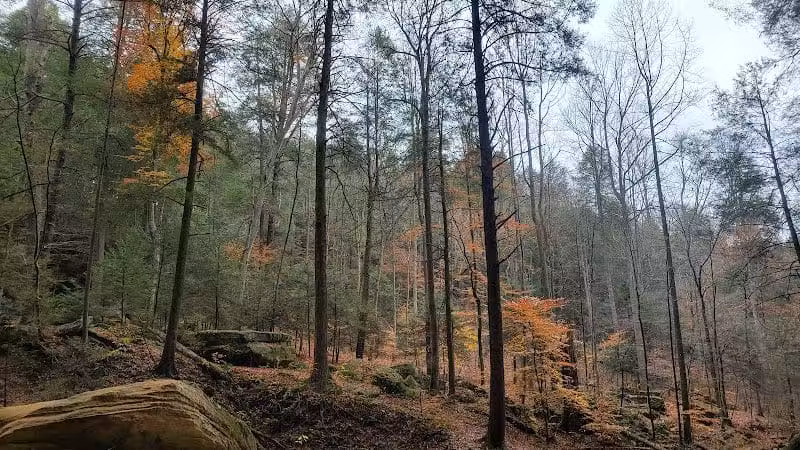 Ash Cave Main Parking Area - Creola, OH