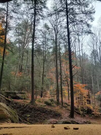 Ash Cave Main Parking Area - Creola, OH