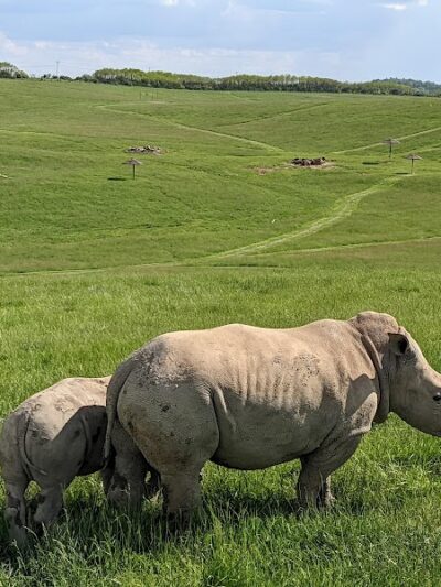The Wilds - Cumberland, OH