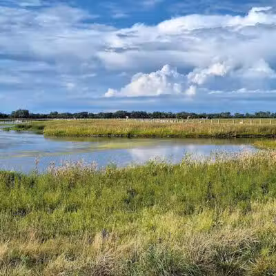 Howard Marsh Metropark - Curtice, OH