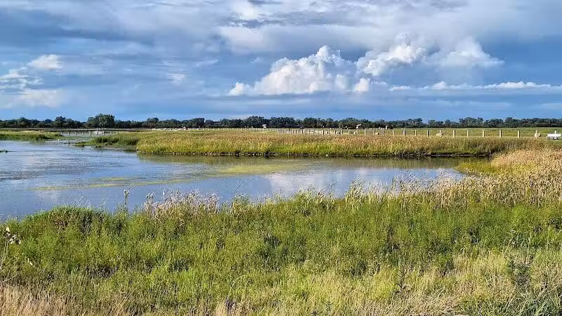 Howard Marsh Metropark - Curtice, OH