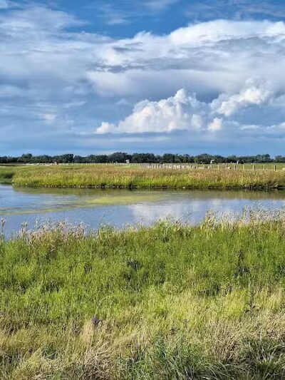 Howard Marsh Metropark - Curtice, OH