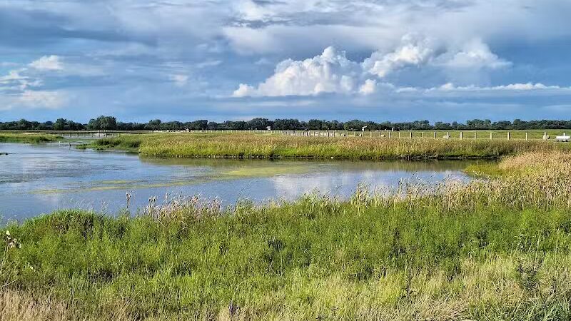 Howard Marsh Metropark - Curtice, OH