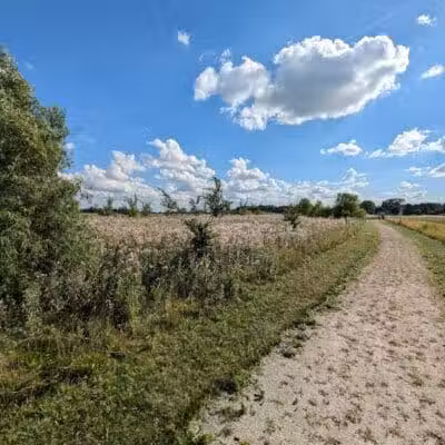 Howard Marsh Metropark - Curtice, OH
