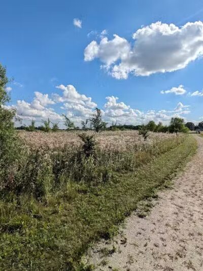 Howard Marsh Metropark - Curtice, OH