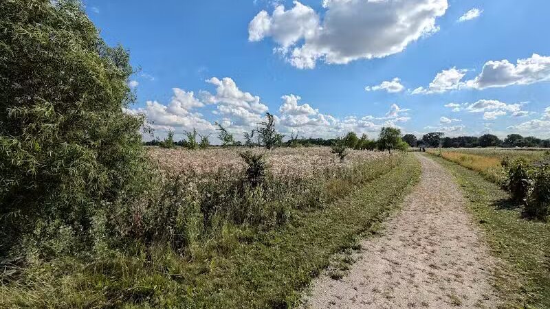 Howard Marsh Metropark - Curtice, OH