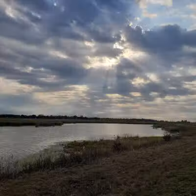Howard Marsh Metropark - Curtice, OH