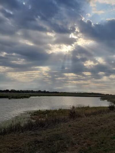 Howard Marsh Metropark - Curtice, OH