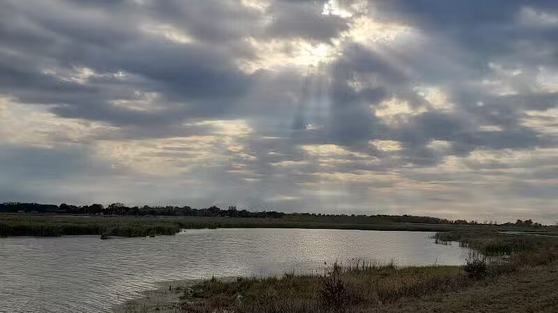 Howard Marsh Metropark - Curtice, OH