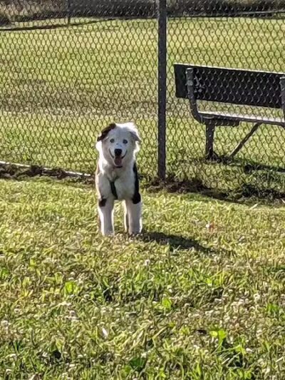 Keyser Park - Cuyahoga Falls, OH