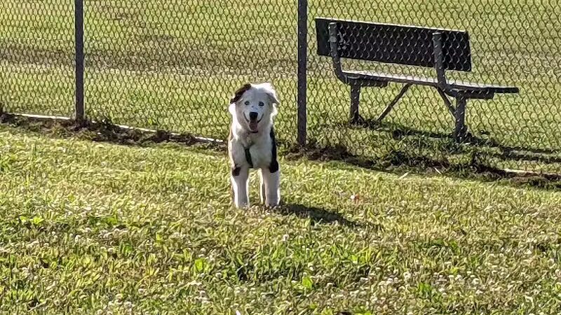 Keyser Park - Cuyahoga Falls, OH