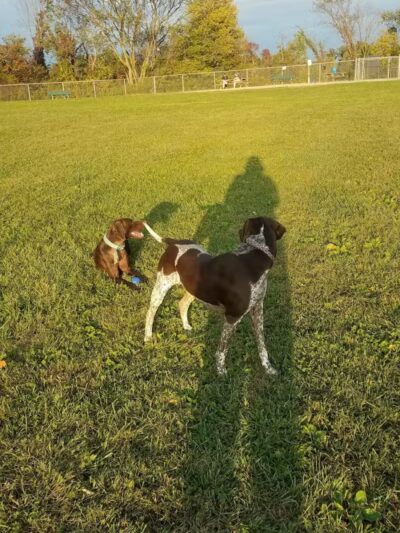 Keyser Park - Cuyahoga Falls, OH