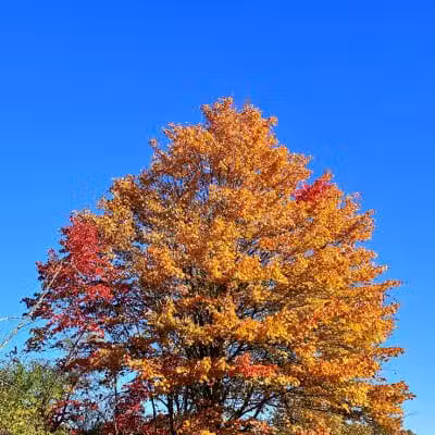 Keyser Park - Cuyahoga Falls, OH