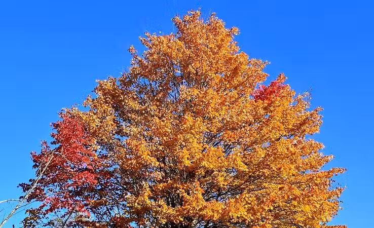 Keyser Park - Cuyahoga Falls, OH