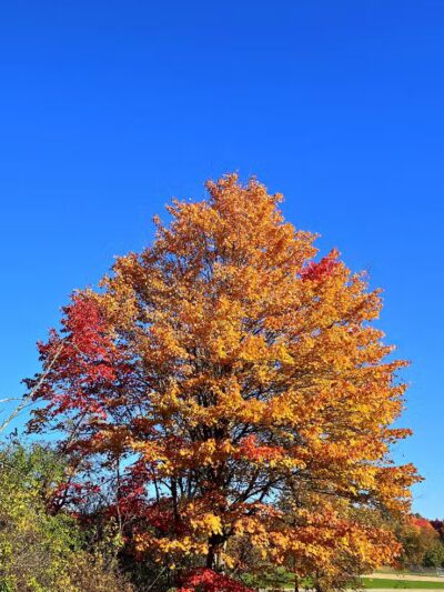 Keyser Park - Cuyahoga Falls, OH