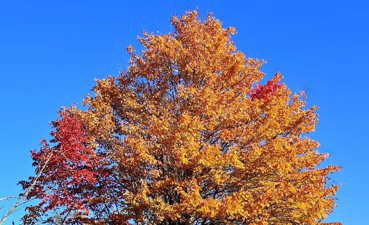 Keyser Park - Cuyahoga Falls, OH