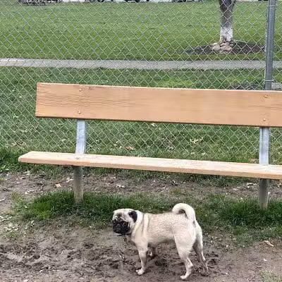 Water Works Dog Park - Cuyahoga Falls, OH