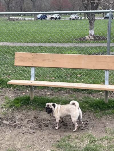 Water Works Dog Park - Cuyahoga Falls, OH