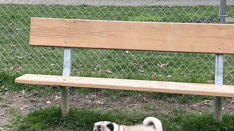 Water Works Dog Park - Cuyahoga Falls, OH