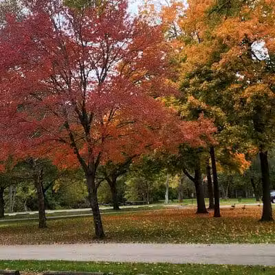 Water Works Dog Park - Cuyahoga Falls, OH