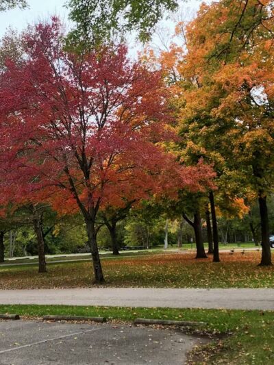 Water Works Dog Park - Cuyahoga Falls, OH