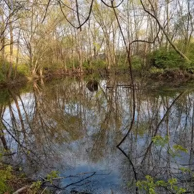 Water Works Dog Park - Cuyahoga Falls, OH