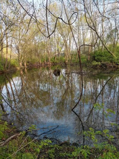 Water Works Dog Park - Cuyahoga Falls, OH