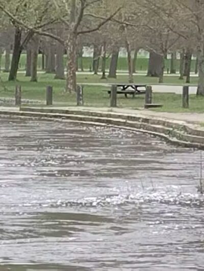 Water Works Dog Park - Cuyahoga Falls, OH