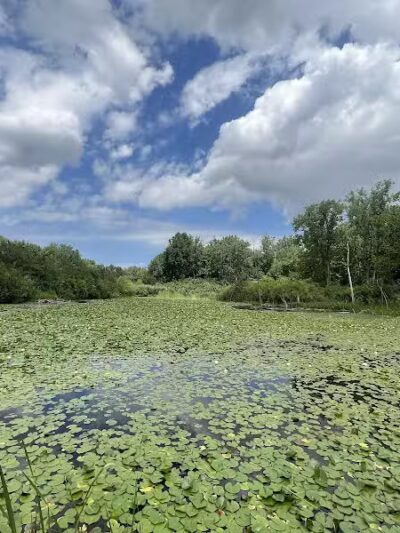 Cleveland Metroparks Cliffs Bike Park - Cuyahoga Heights, OH
