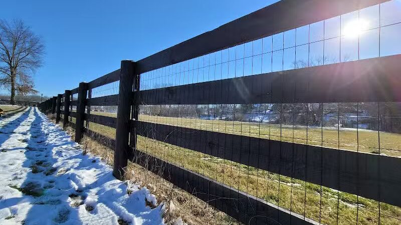 Cynthiana Dog Park - Cynthiana, KY