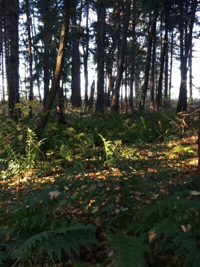 Evergreen Park, Kidron Park - Dalton, OH