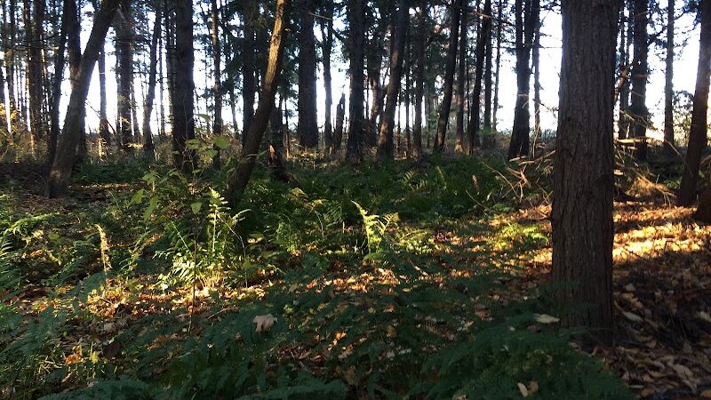 Evergreen Park, Kidron Park - Dalton, OH