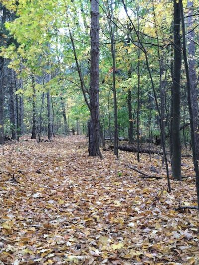 Evergreen Park, Kidron Park - Dalton, OH