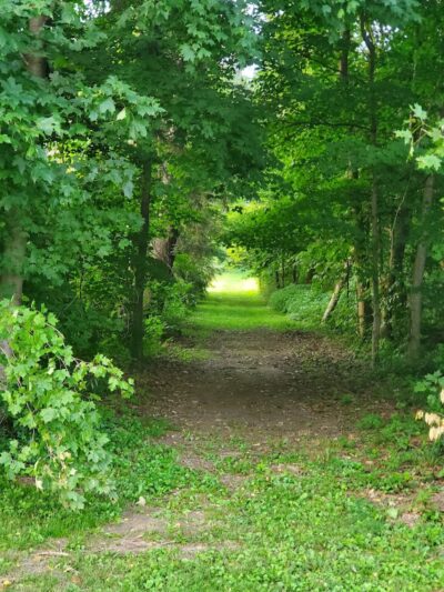 Evergreen Park, Kidron Park - Dalton, OH