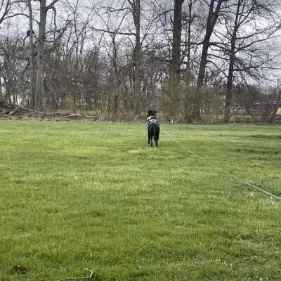 Village Green Park - Dalton, OH