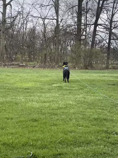 Village Green Park - Dalton, OH