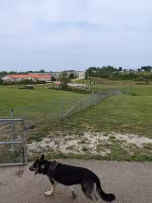 Bark Park Offleash - Dayton, OH