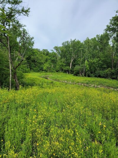 Bill Yeck Park - Dayton, OH