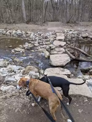 Bill Yeck Park - Dayton, OH