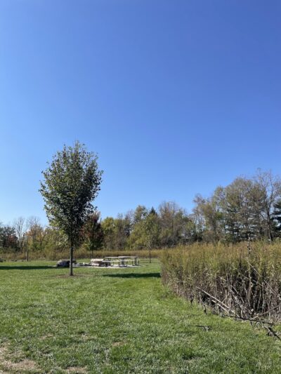 Bill Yeck Park - Dayton, OH