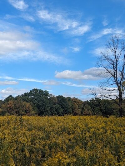 Bill Yeck Park - Dayton, OH