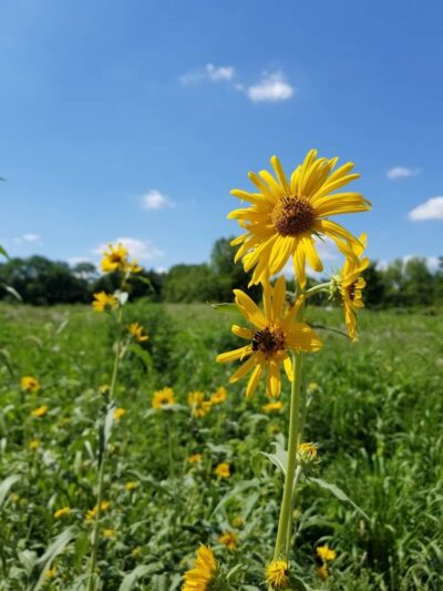 Bill Yeck Park - Dayton, OH