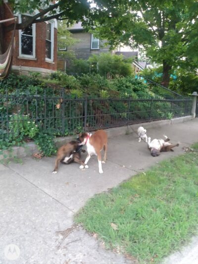 Blommel Park - Dayton, OH