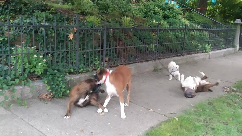 Blommel Park - Dayton, OH