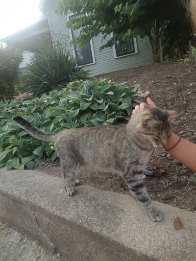 Blommel Park - Dayton, OH