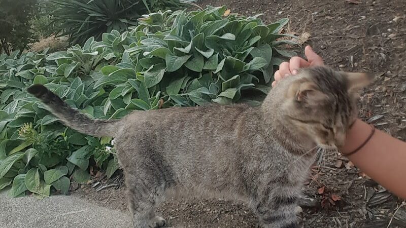 Blommel Park - Dayton, OH
